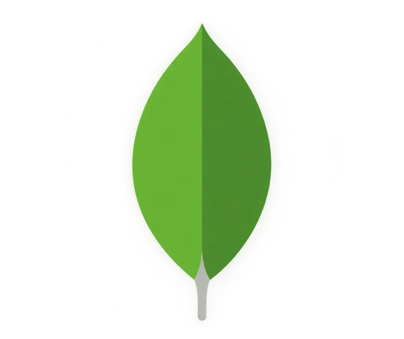 MongoDB logo for flexible enterprise document storage