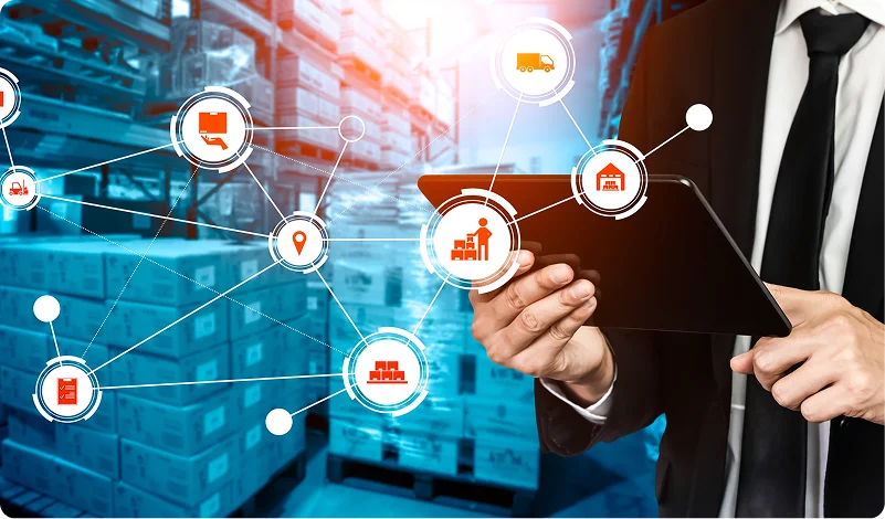 Trading executives reviewing distribution analytics for UAE conglomerates